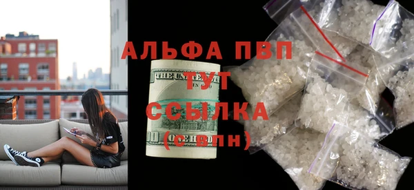 ECSTASY Инсар