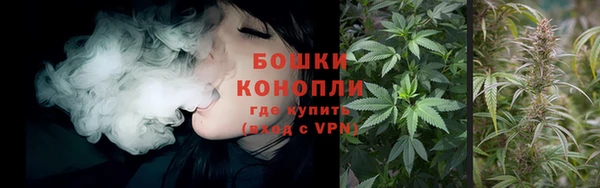 мяу мяу мука Иннополис