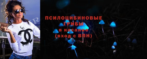 ECSTASY Инсар
