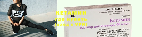 твердый Инта