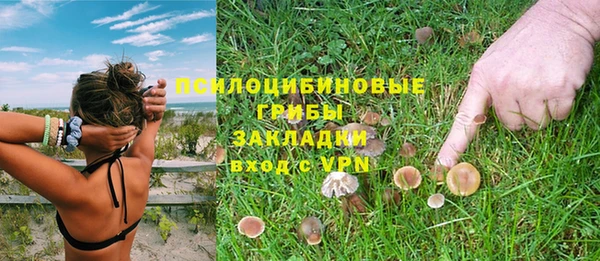 мяу мяу мука Иннополис