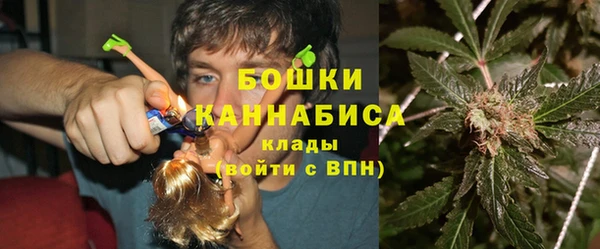 мяу мяу мука Иннополис