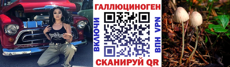 Купить где  Жирновск  Галлюциногенные грибы Magic Shrooms 